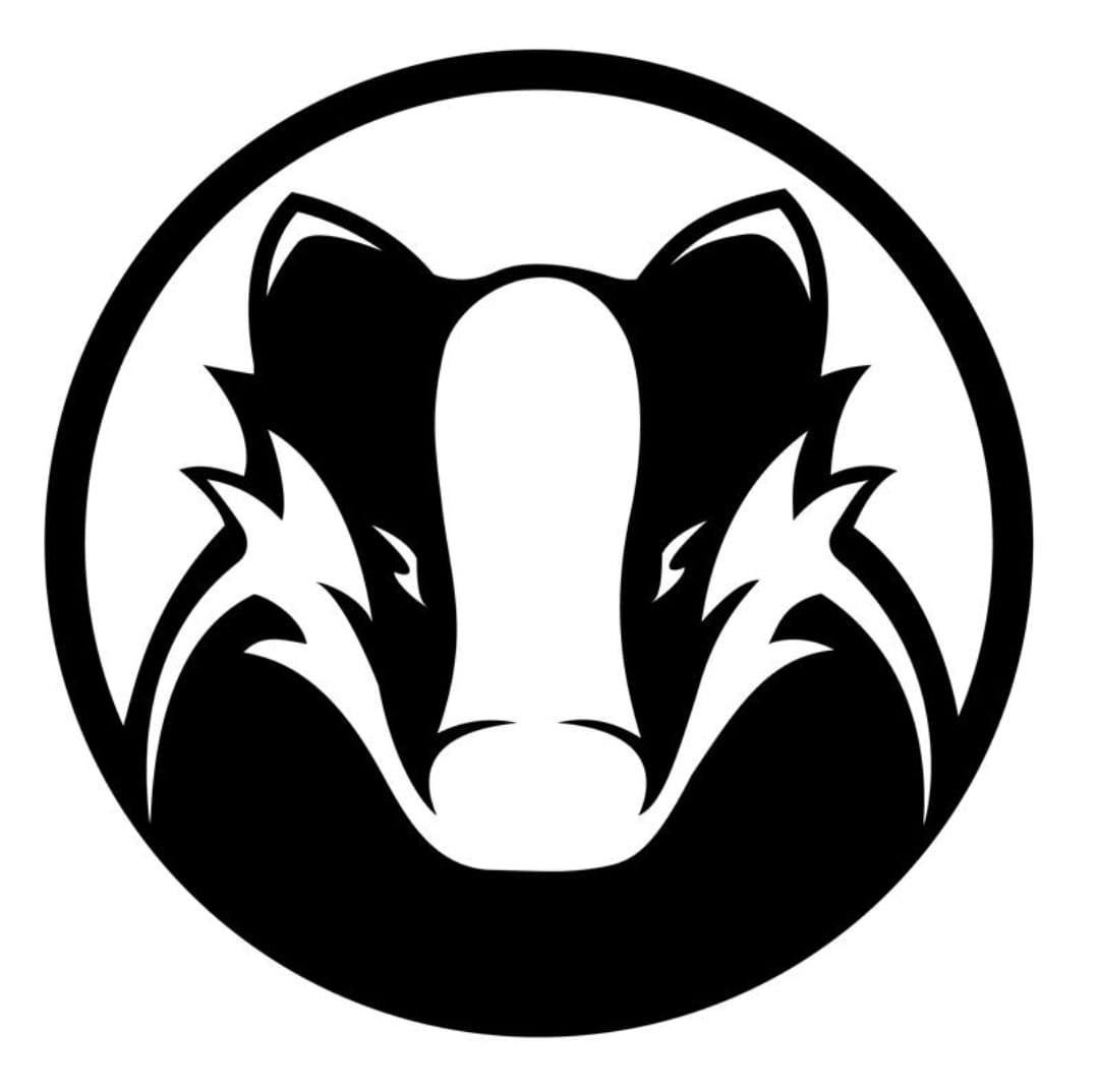 Badger Coaching — artwork from the original Waikari website
